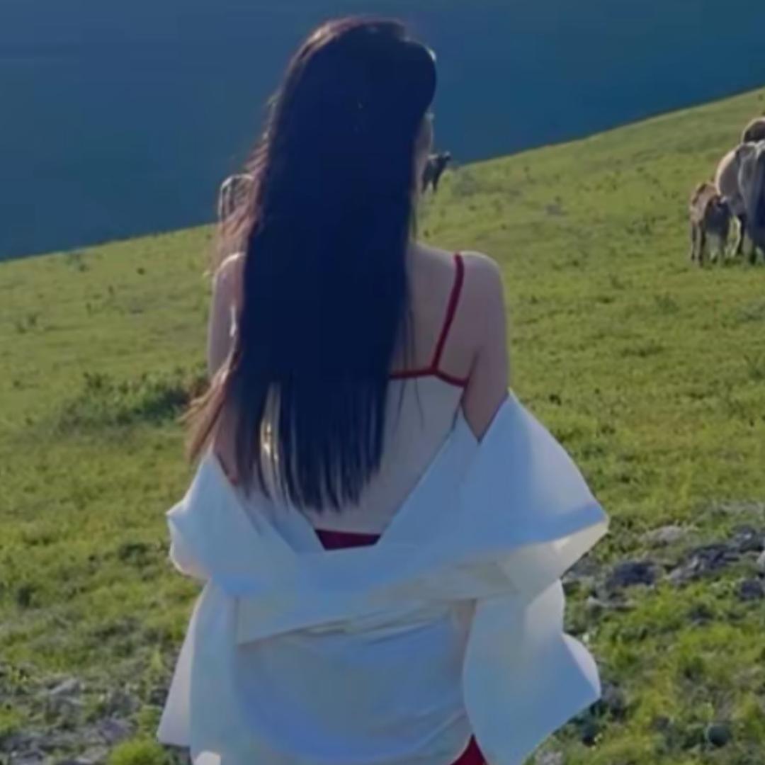 樱花☆遍地