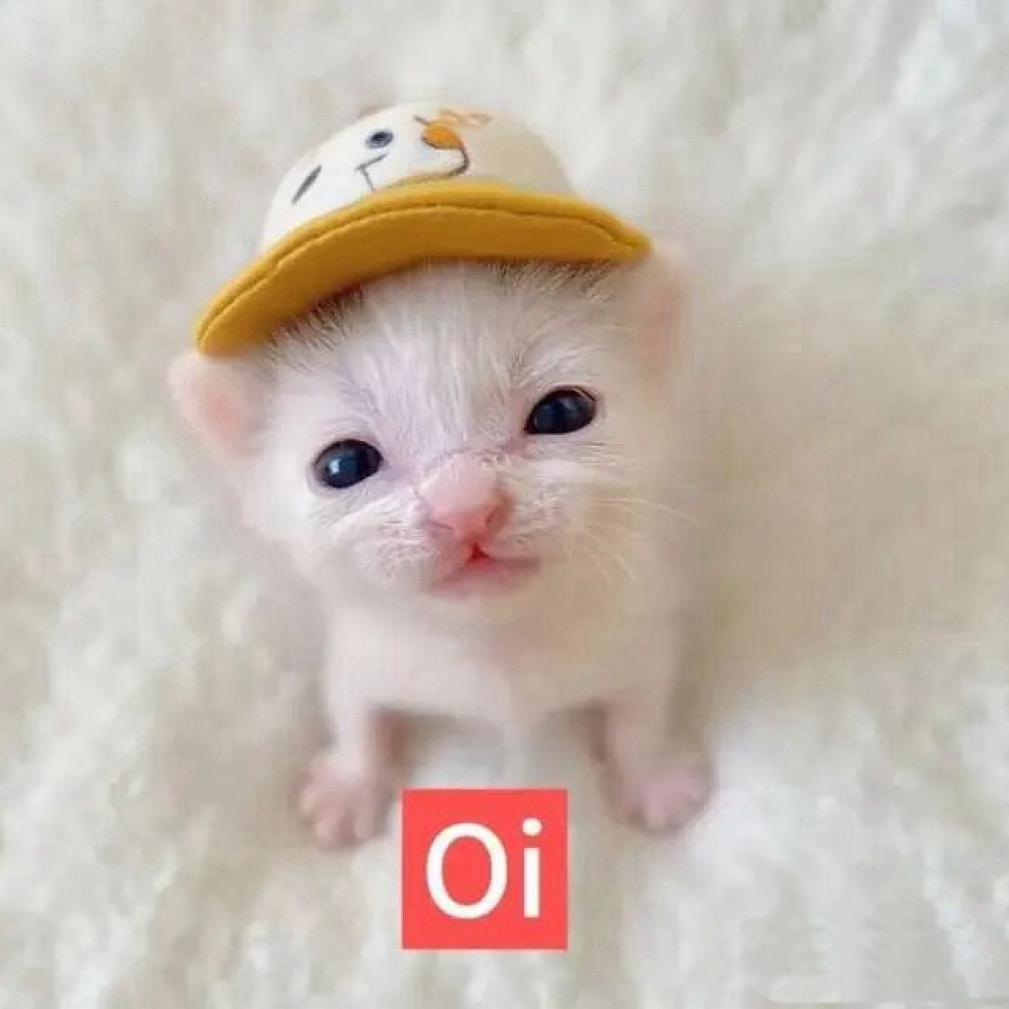 反话话话话话话话话话话