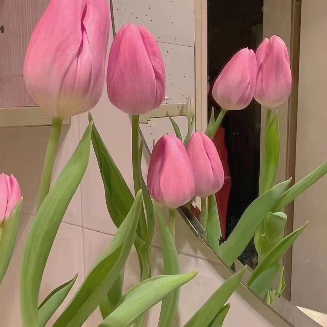 @𝐍𝐚妹阿🖤
