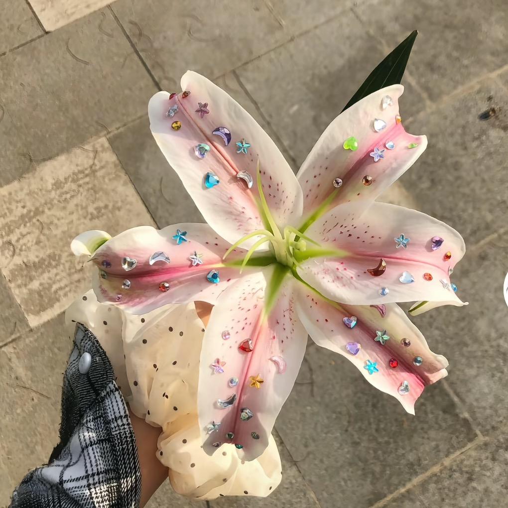 元气满满 初心不变