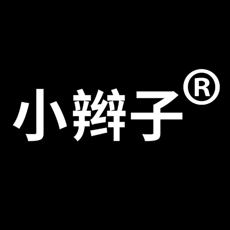 小辫子汽车养护旗舰店