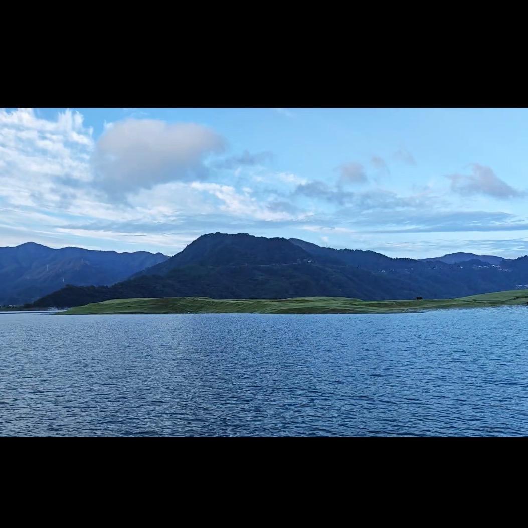 岛妹儿