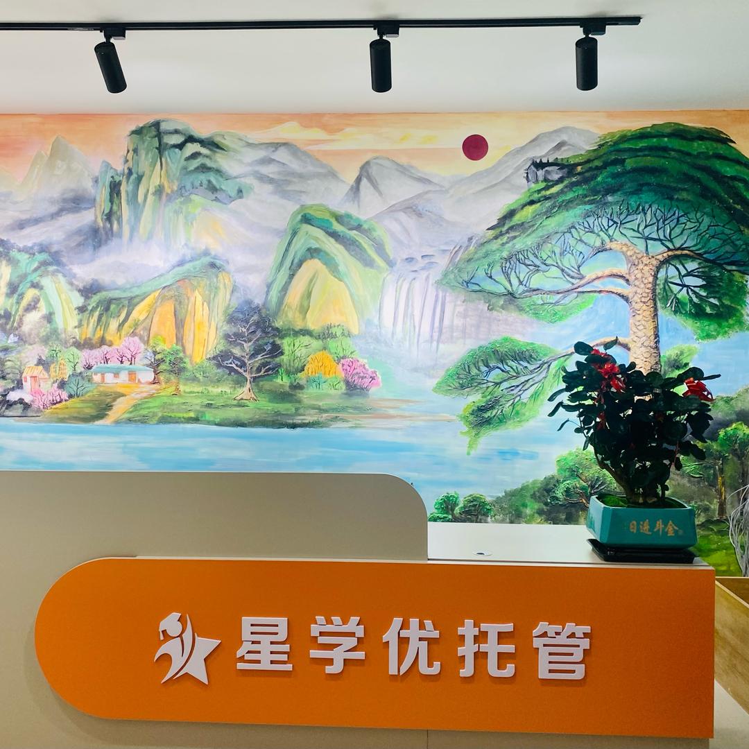 星学优托管