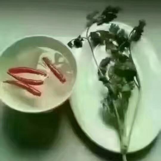 看跌合唱du大好河山