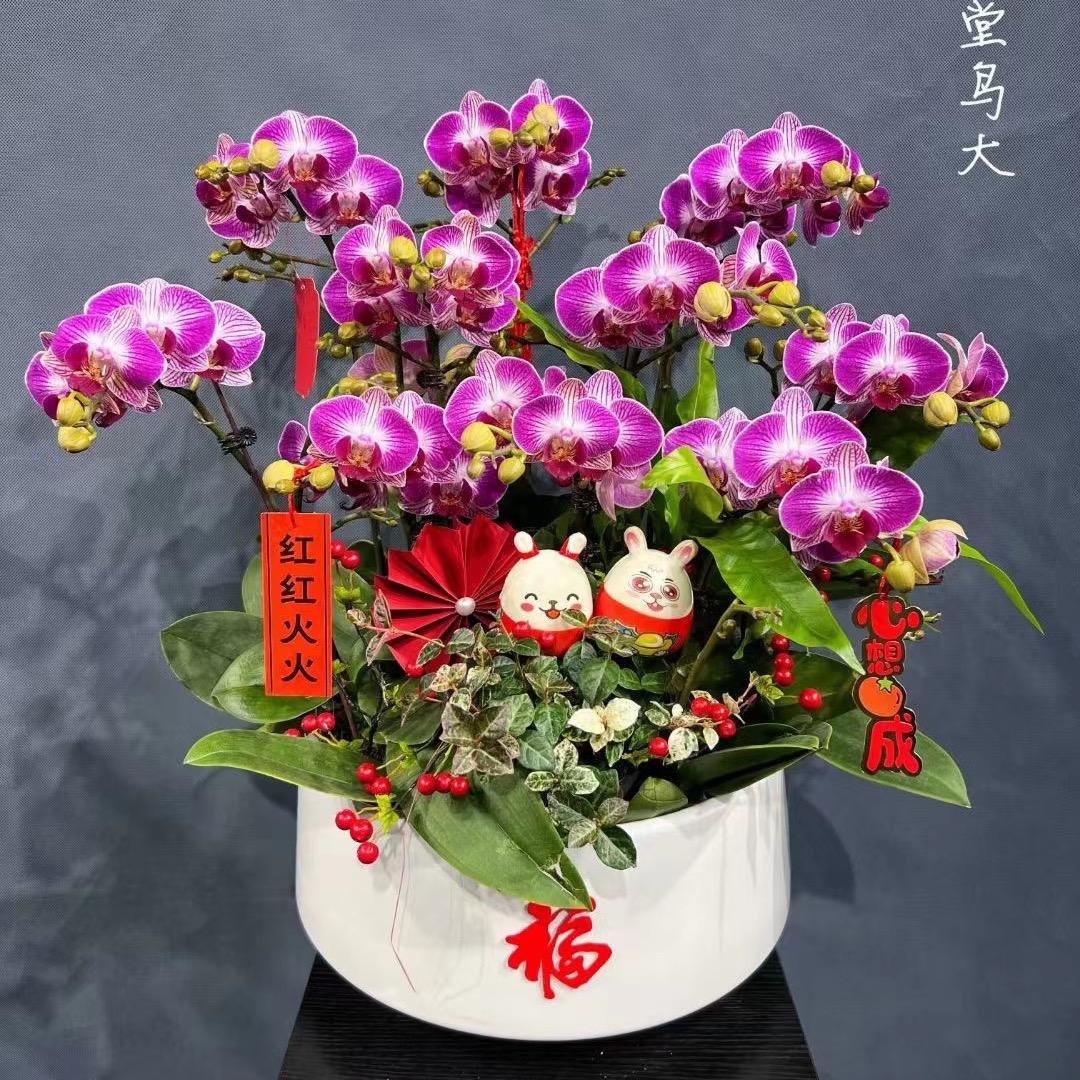 Guo_Lan.