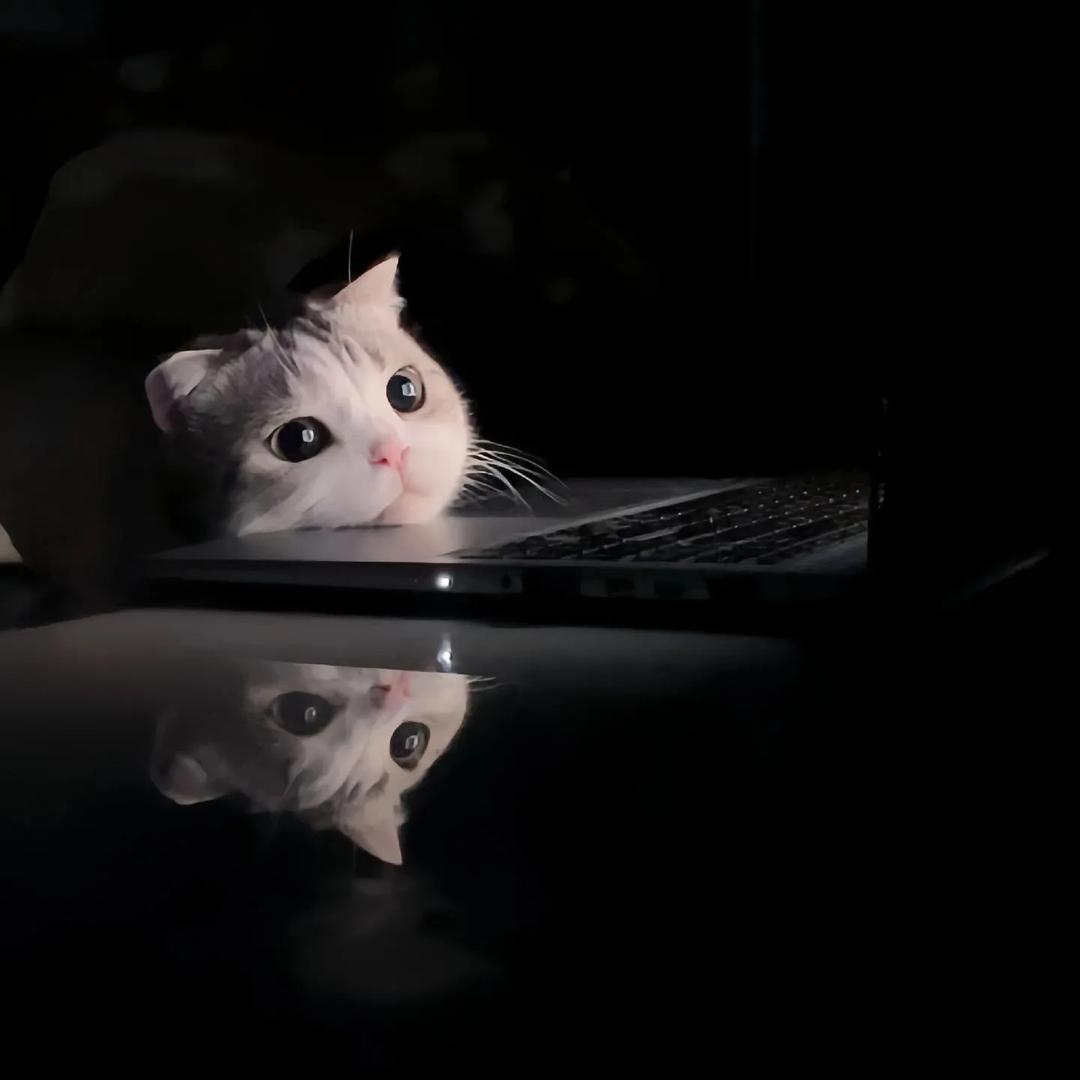 佑辰（实习生）