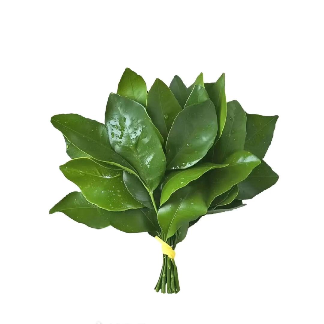 生煎包YIM🥬