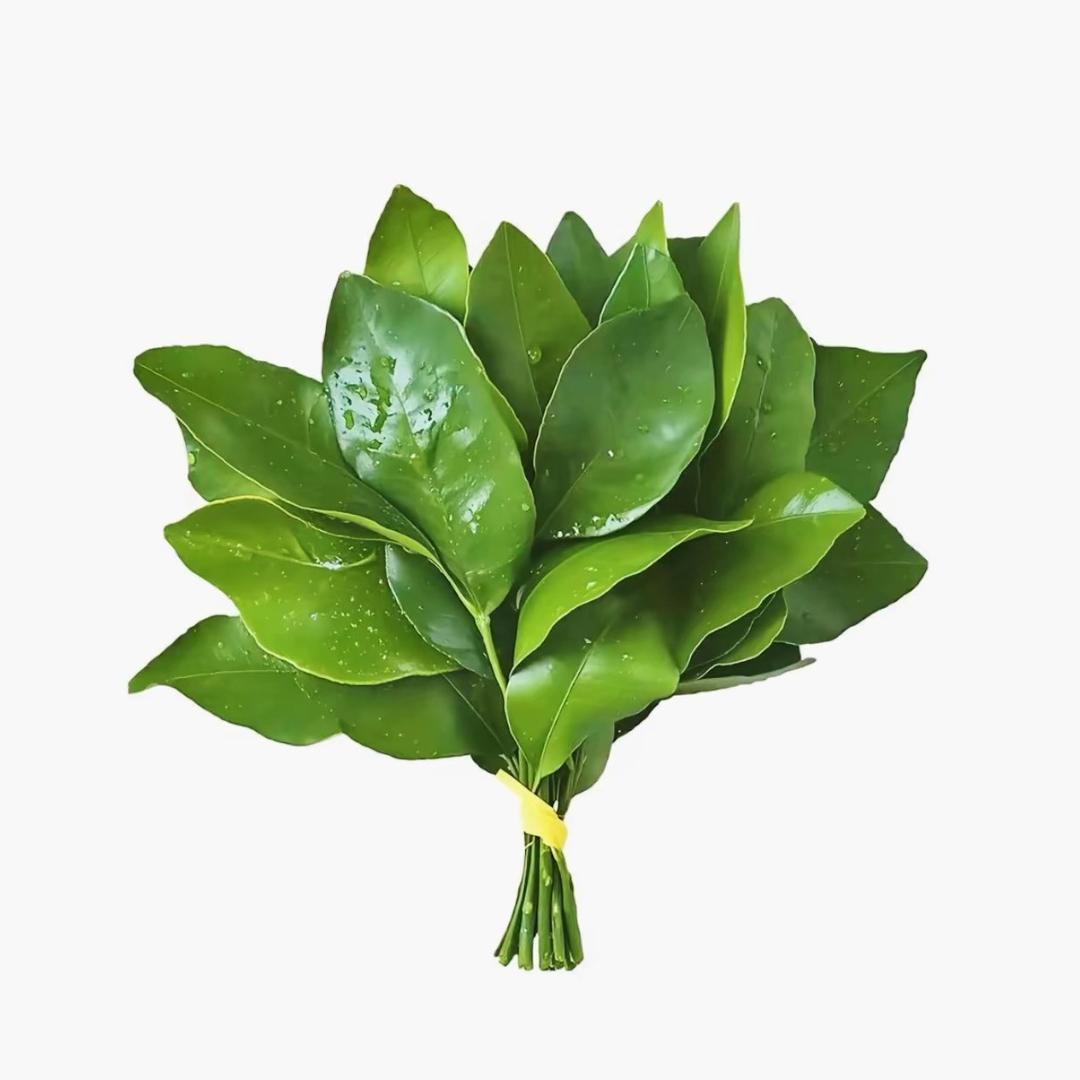 木莉花