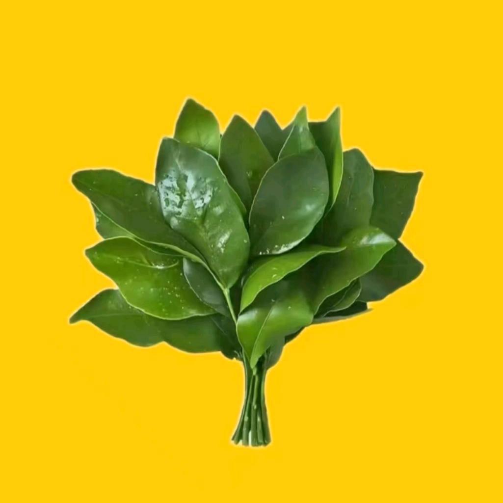 朱