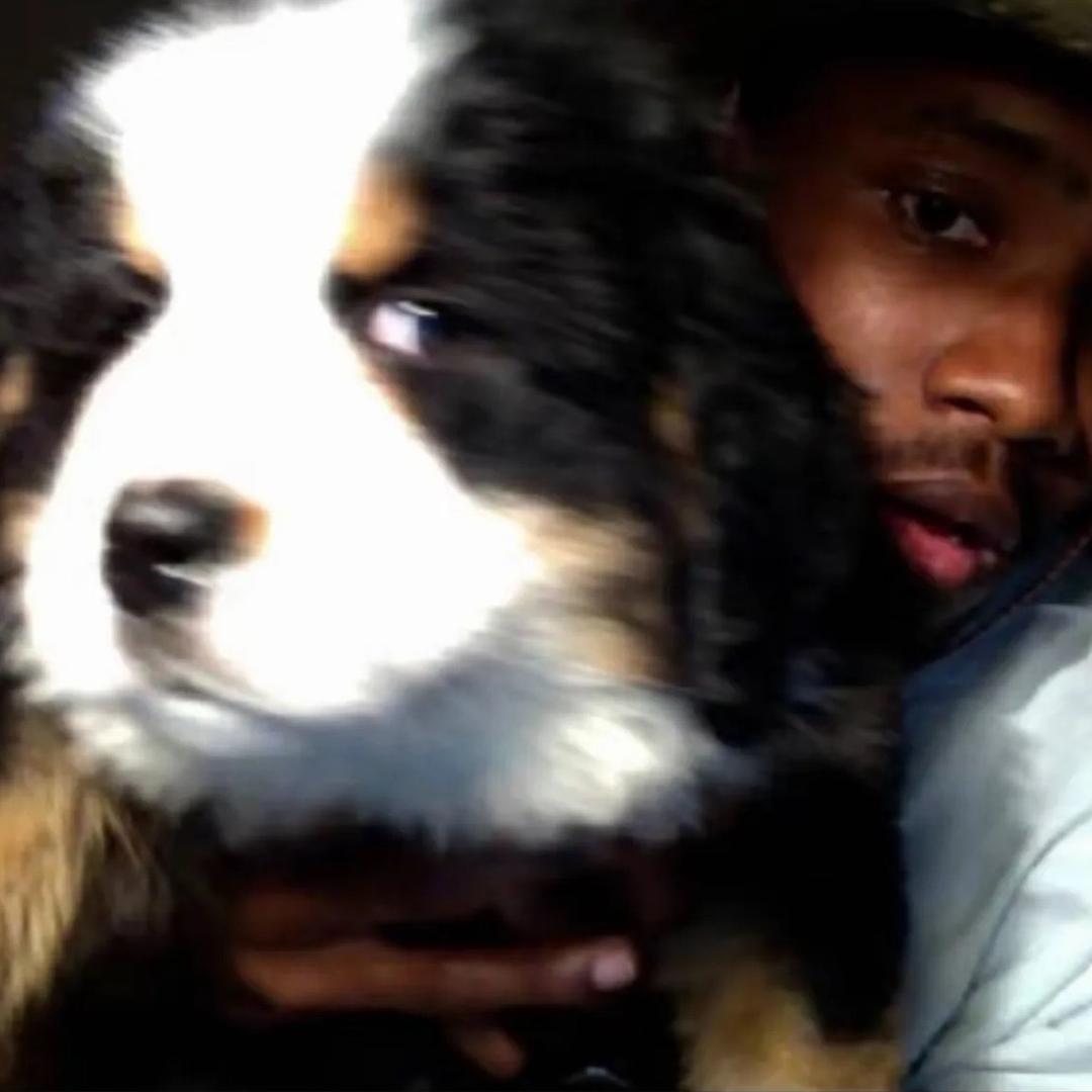 LIKE019的牛逼大学vlog