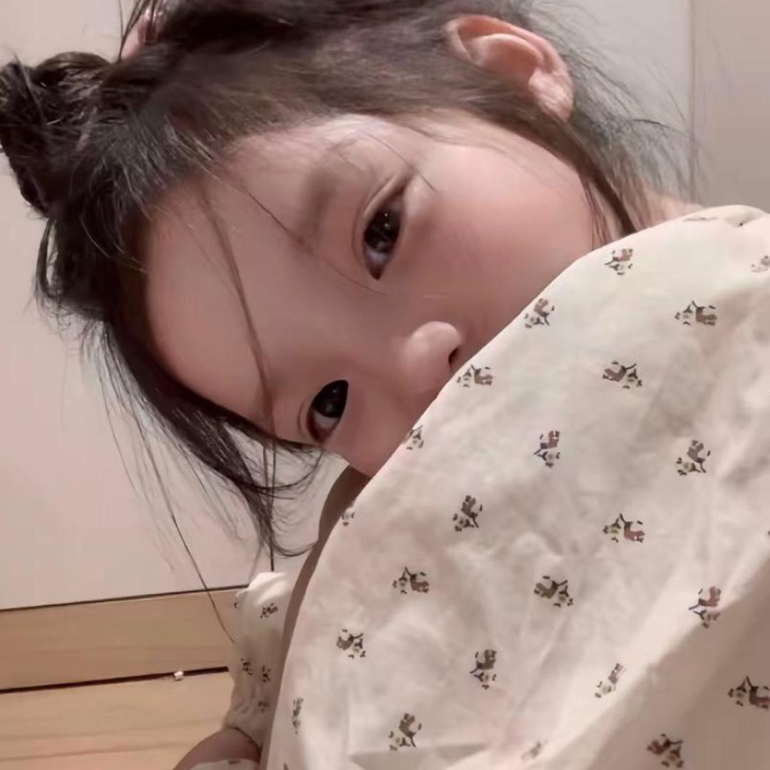 懒猫
