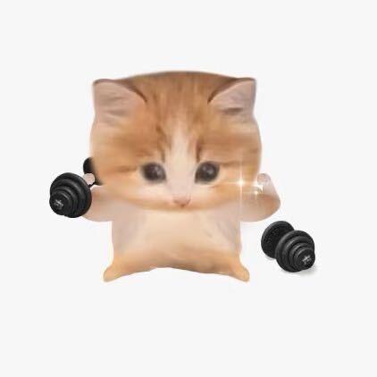 南美专线 美加墨 巴西专线 张张