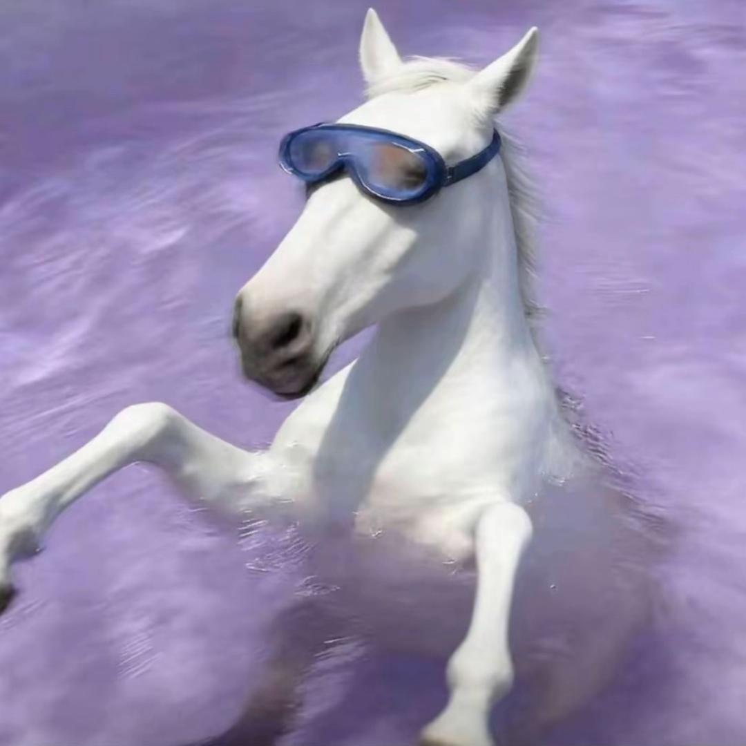 番茄也是茄（一起过六周年版）