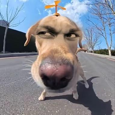 老孩哥