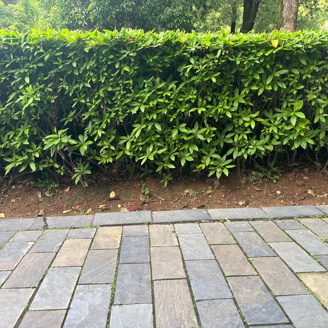 没想好和没烦恼