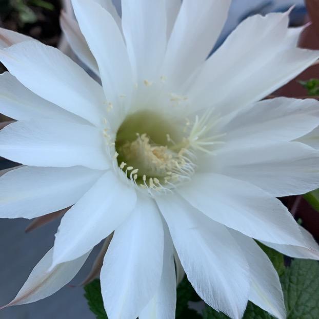 阳光早教幼儿园