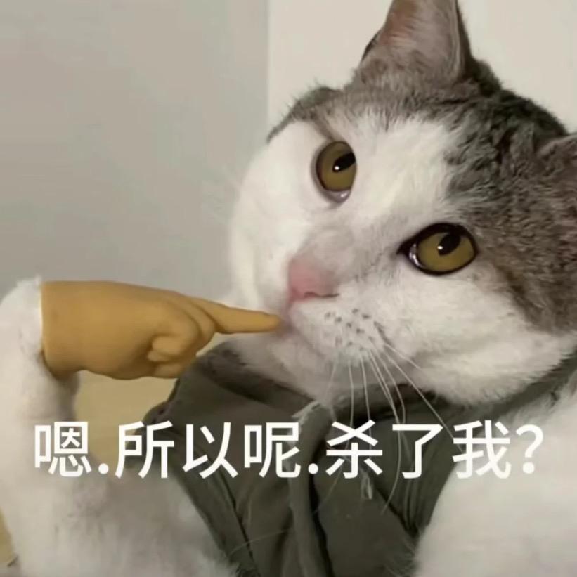 小曹（新房装修版）