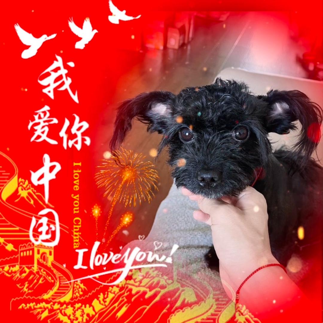 家和 山西炒家