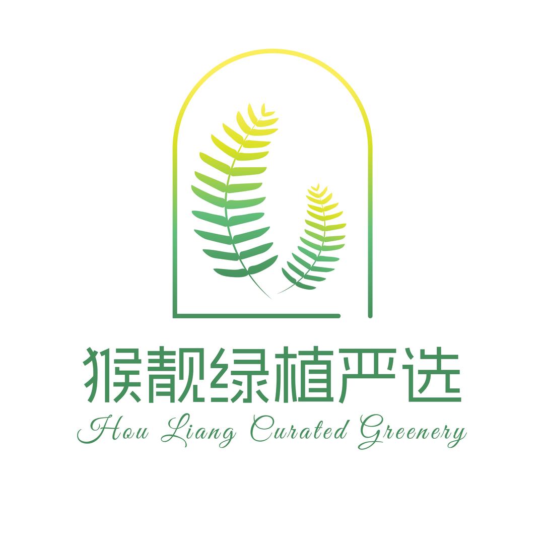 猴靓绿植严选（密叶猴耳环）