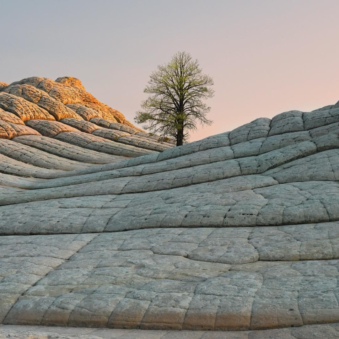 酒捕头酒类专营店