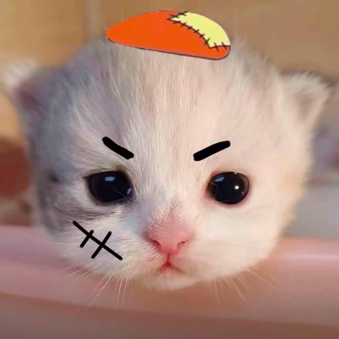 每天只玩抖音5分钟