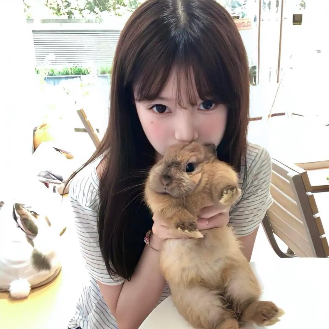 努力睡大觉