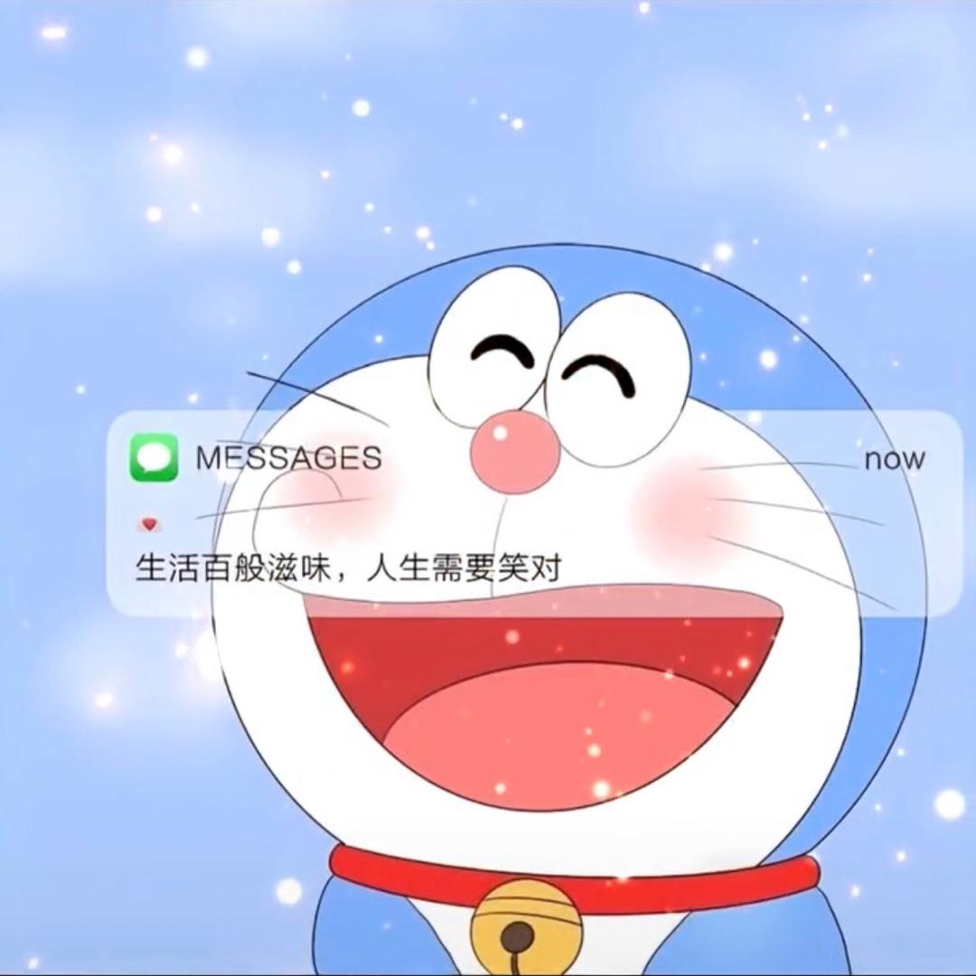 是宝哥吖