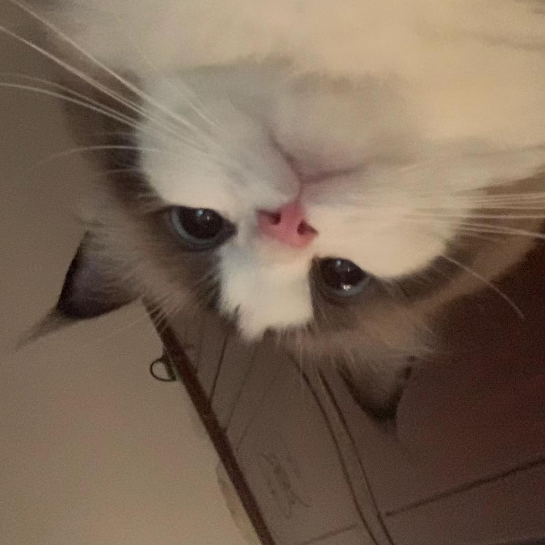 梦火