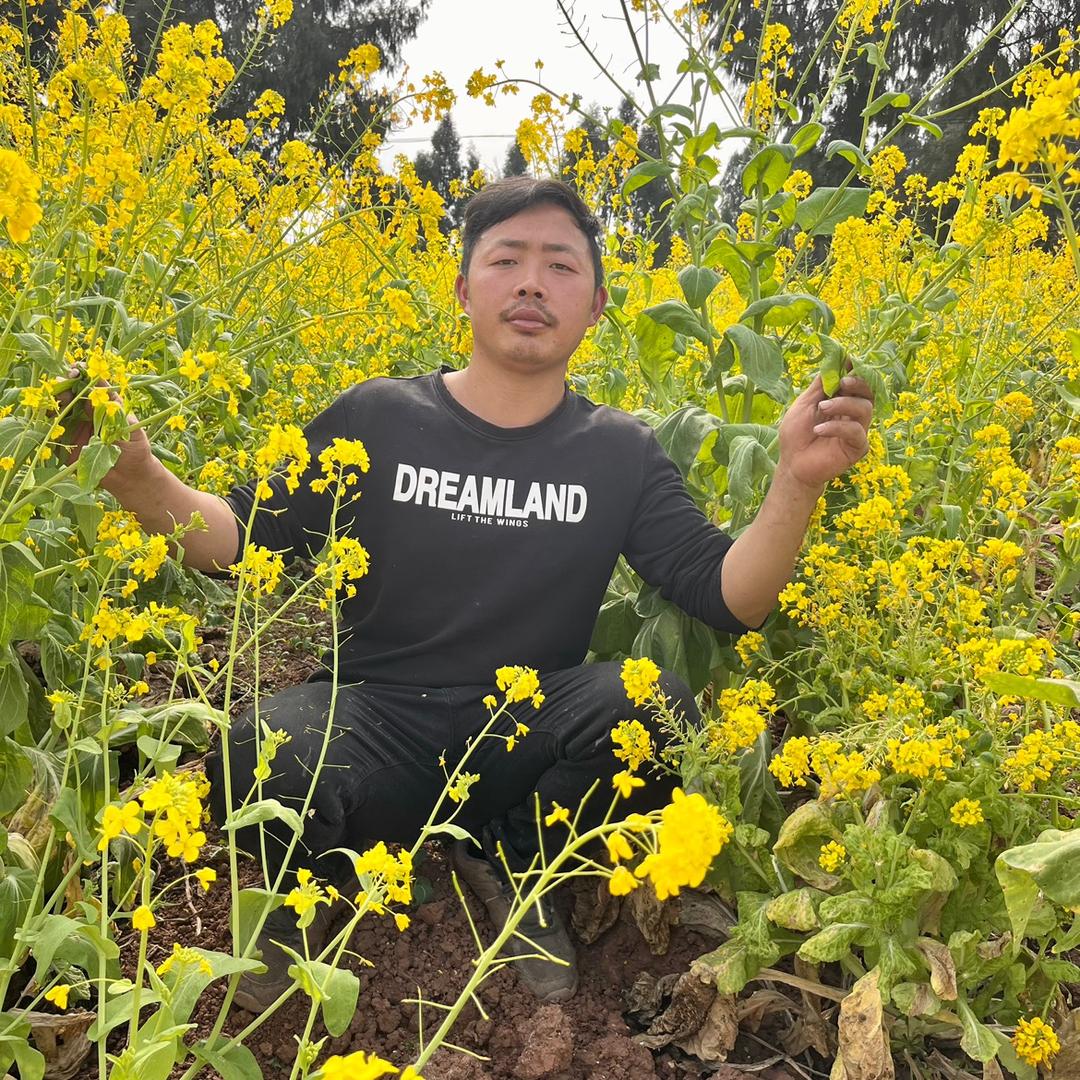 安岳山山