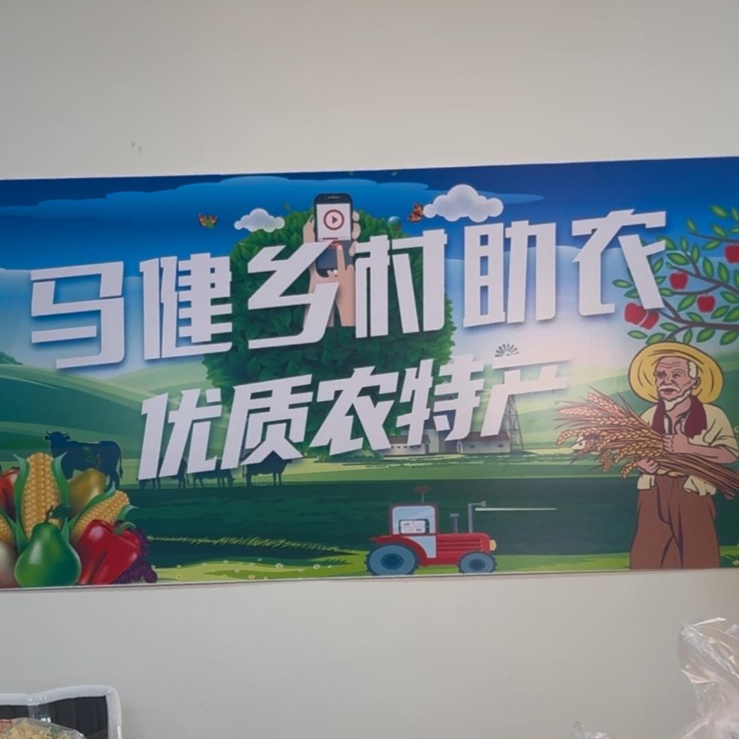 马健乡村助农