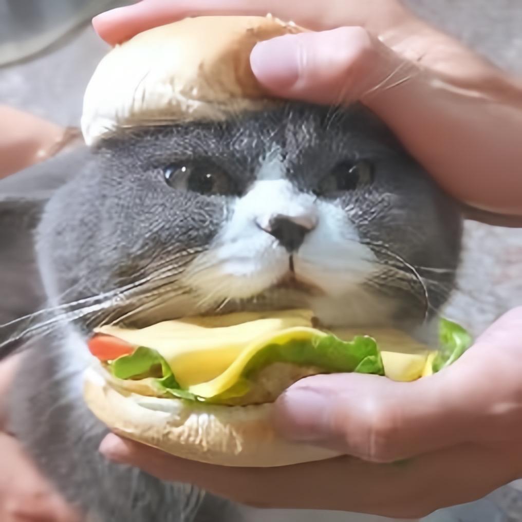 咪咪宠物百货