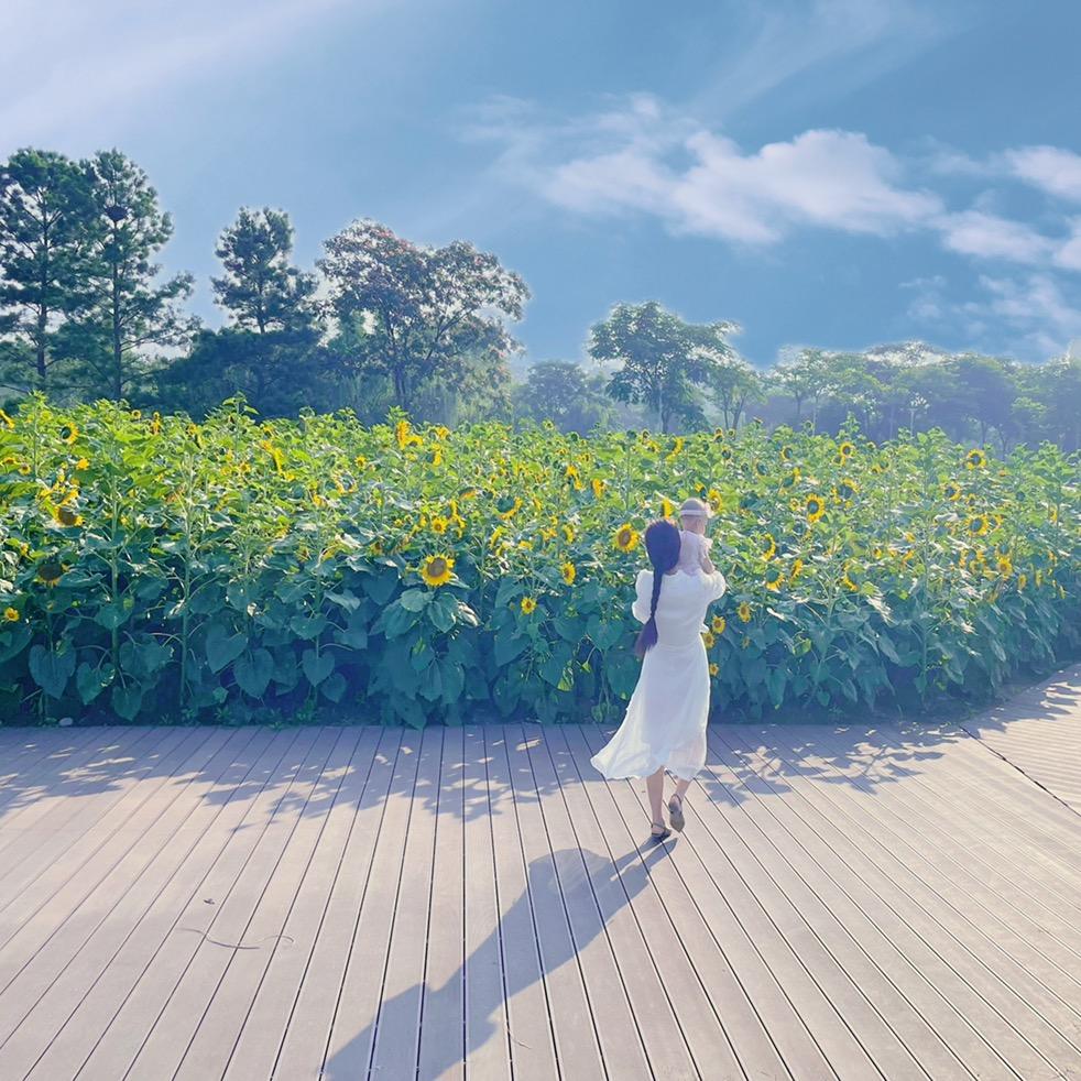 菊(拒私聊）