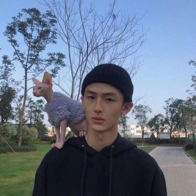 衬衫老罗太空直播号