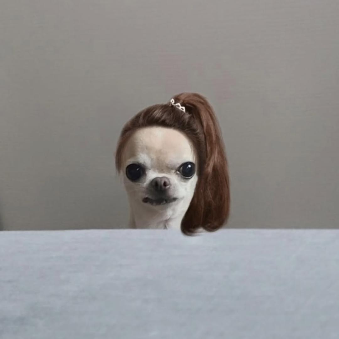 一 ㅤㅤㅤㅤㅤㅤㅤㅤ