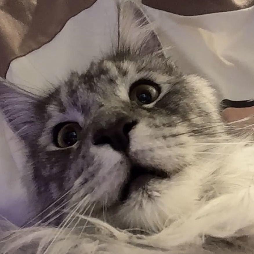 二