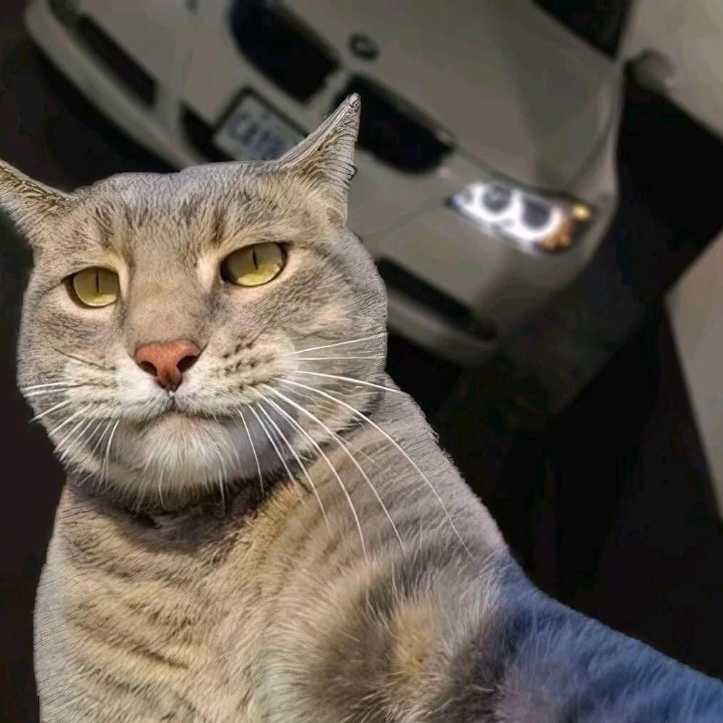 Hello