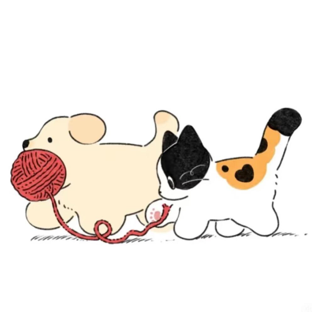 苗小苗.