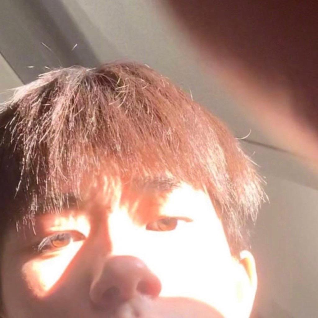 Camellia（尊师东尼）