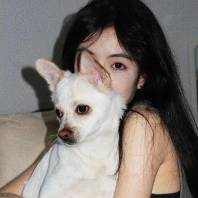 两只独角兽🦄️