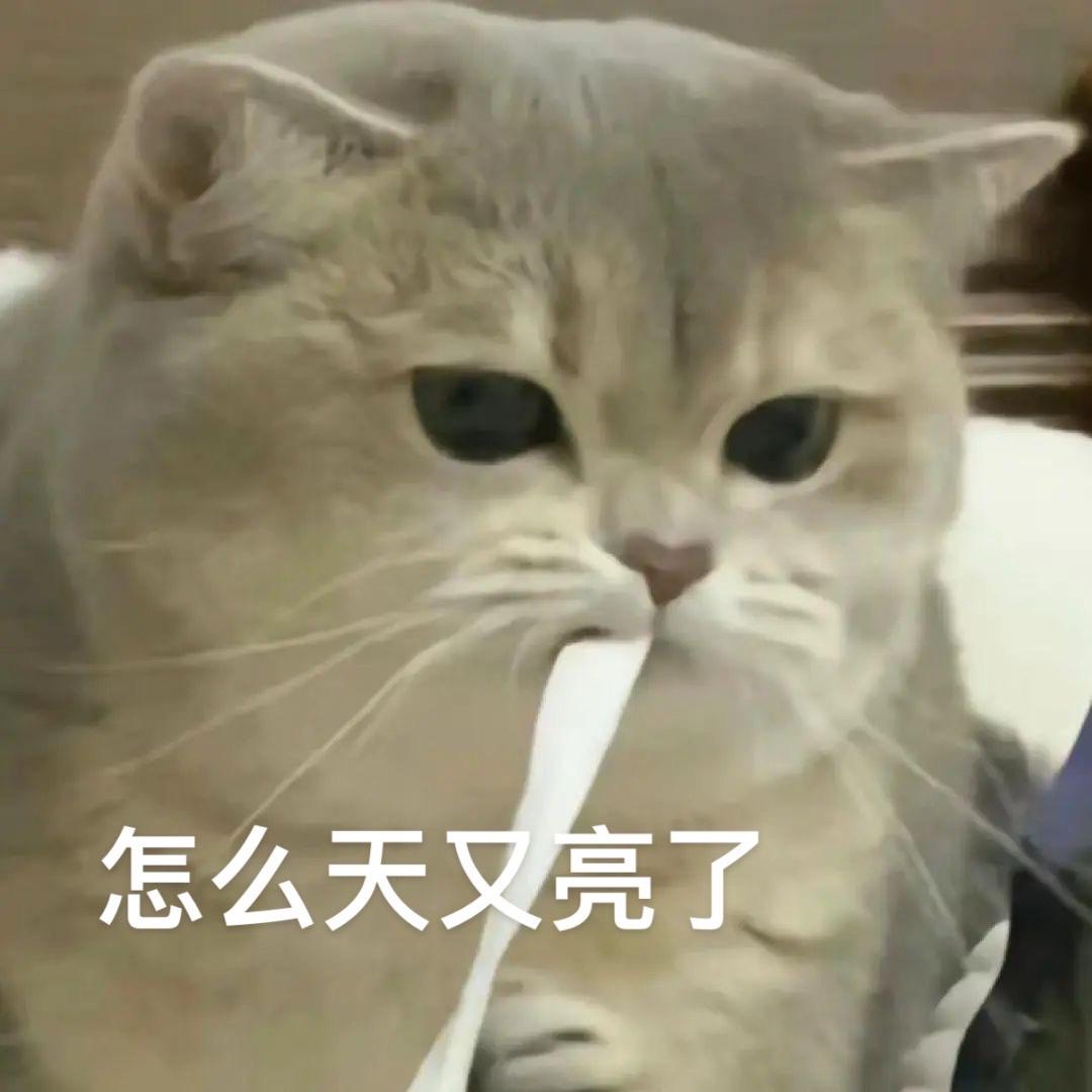 谁啊这是