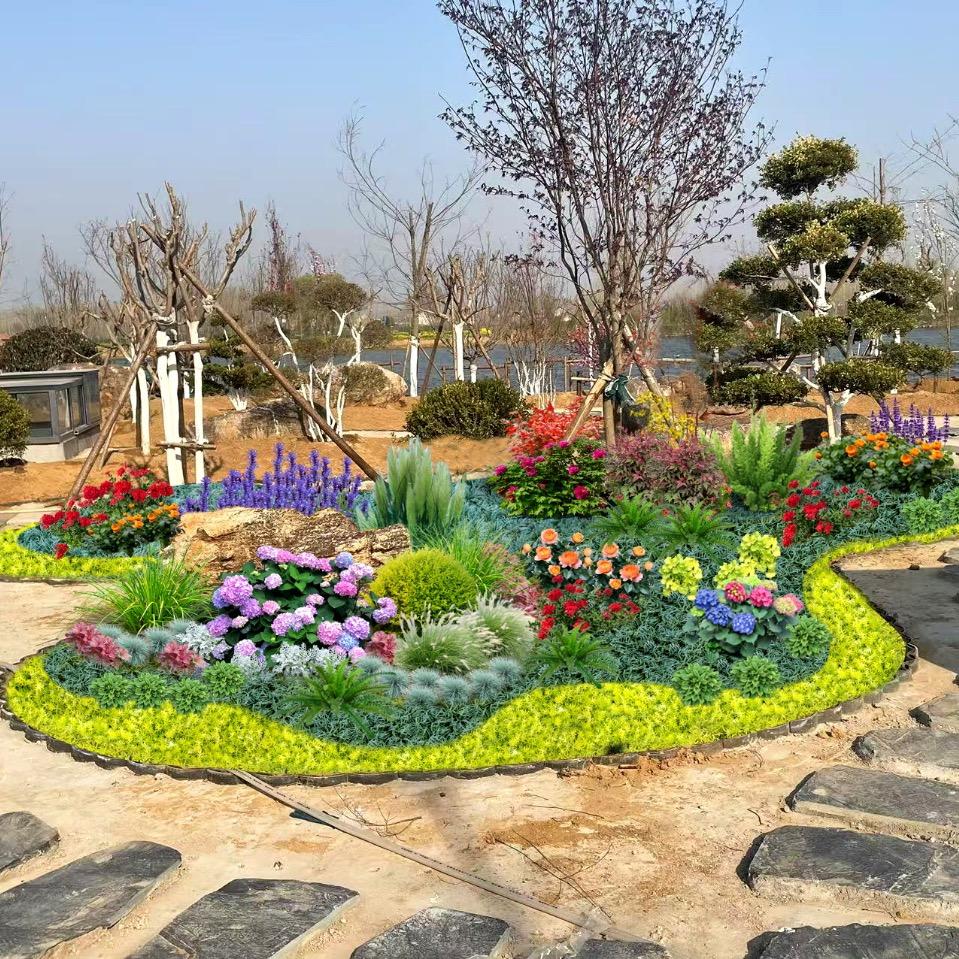 绿化苗木花卉基地