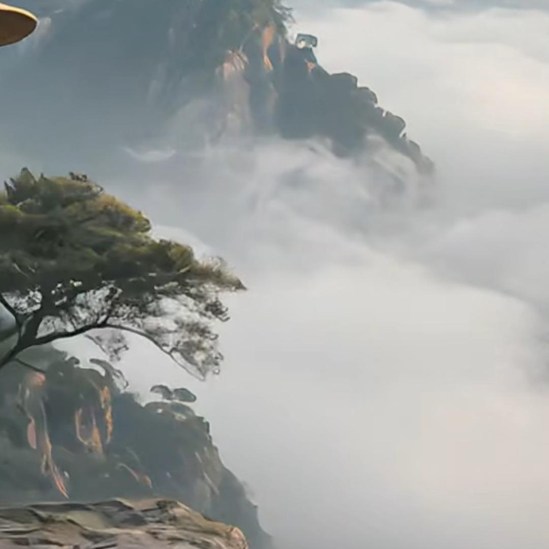 💫芊荨☘️衣品💫