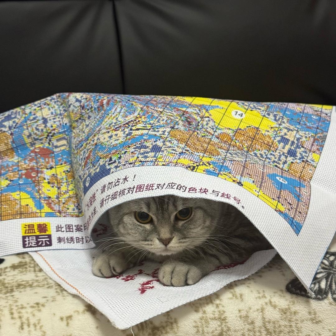 @@月亮还是太阳