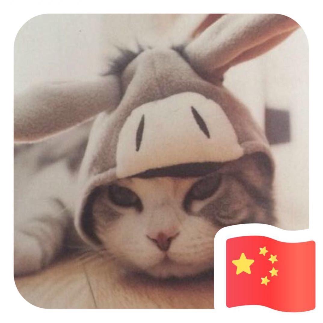 小林子