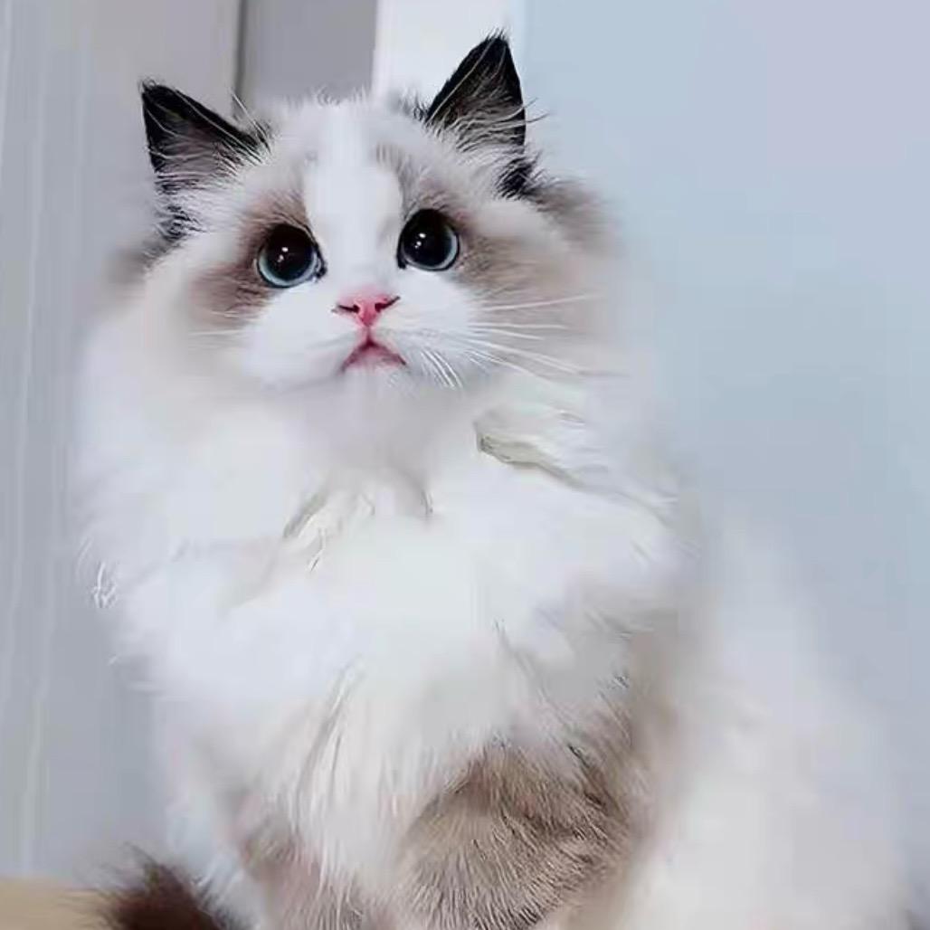🕊️ℳঞᩚꦿ宇航⁵²º꧔ꦿ᭄࿐ᩚ