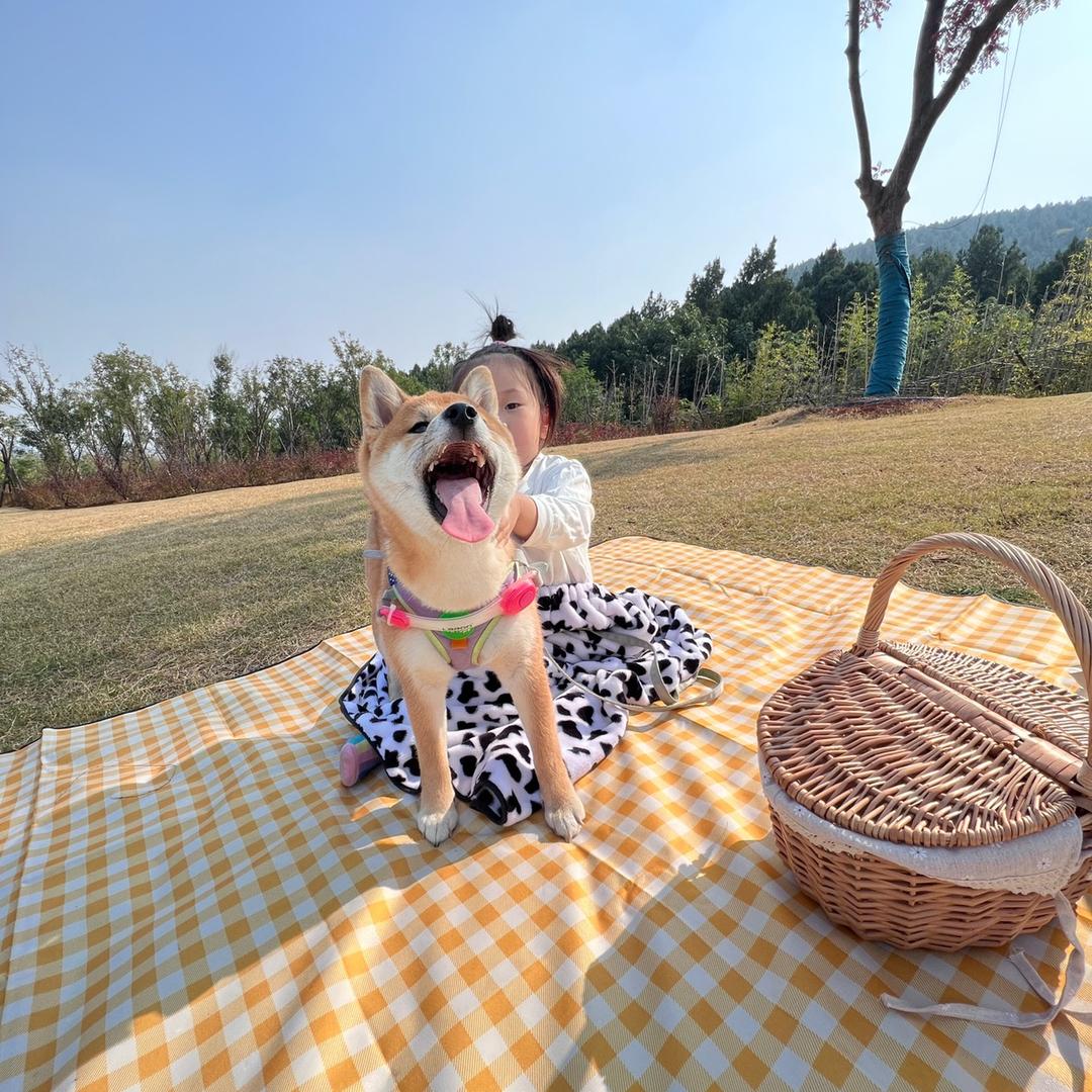JOJO de 妮酱