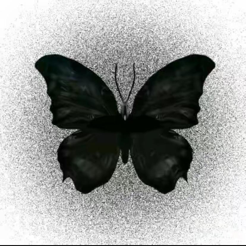 BLACK⋆