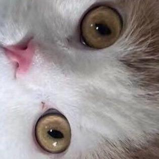独立自主