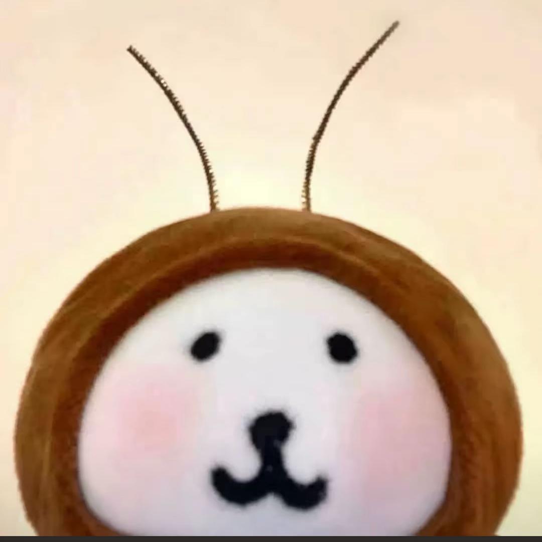 豆豆崽kk