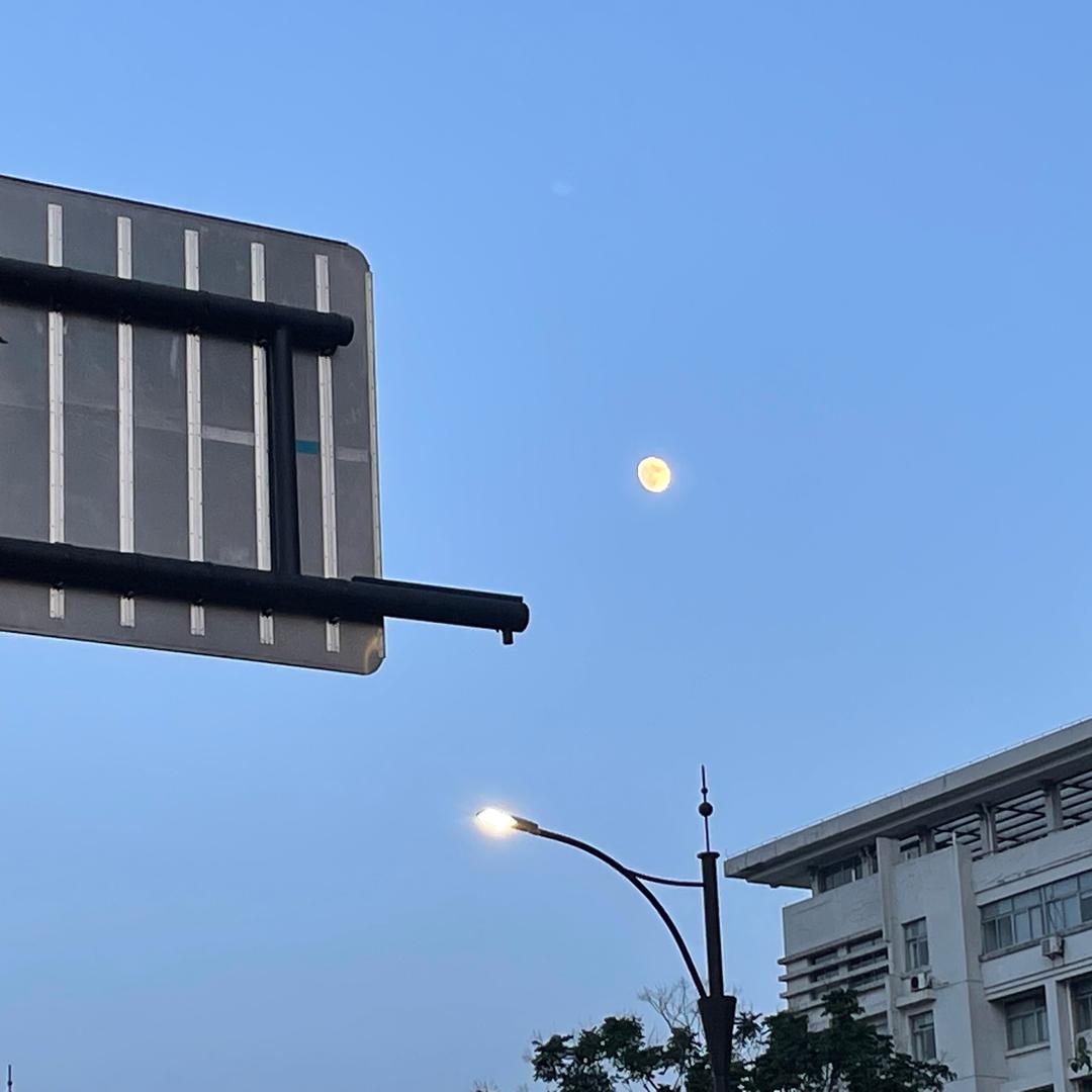 关在冰箱里的鱼